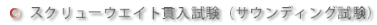 スクリューウエイト貫入試験